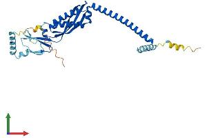 AlphaFold protein structure predicition of Human Recombinant STOM Protein, UniprotID P27105 (Stomatin Protein (STOM) (AA 1-288) (His tag))