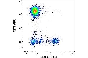 Flow cytometry multicolor surface staining pattern of human peripheral whole blood stained using anti-human CD16 (3G8) FITC antibody (4 μL reagent / 100 μL of peripheral whole blood) and anti-human CD3 (UCHT1) APC antibody (10 μL reagent / 100 μL of peripheral whole blood). (CD16 Antikörper  (FITC))