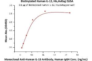 ELISA image for Interleukin 13 (IL13) (AA 21-132) (Active) protein (His tag,AVI tag,Biotin) (ABIN6950979)