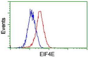 Flow Cytometry (FACS) image for anti-Eukaryotic Translation Initiation Factor 4E (EIF4E) antibody (ABIN1497984) (EIF4E Antikörper)