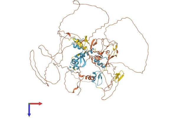 PRDM4 Protein (AA 1-801) (His tag)