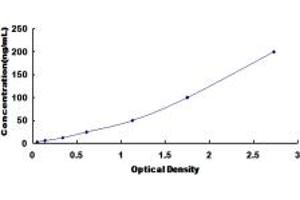 Typical standard curve (CA2 ELISA Kit)