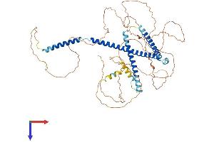 NUPL1 Protein (AA 1-587) (His tag)