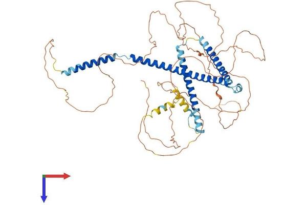 NUPL1 Protein (AA 1-587) (His tag)