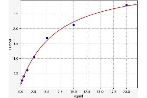 MTTP ELISA Kit