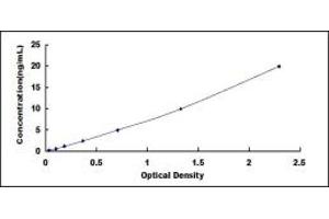 ABCC6 ELISA Kit