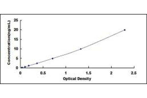 ABCC6 ELISA Kit