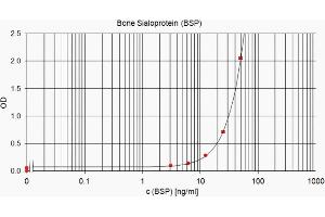 ELISA standard curve showing measurement of human BSP in a sandwich immunoassay using ABIN2753226 as capture antibody and ABIN2753226 as detection antibody. (CD BSP (Tumor BSP) (AA 108-122) Antikörper)