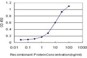 Detection limit for recombinant GST tagged NHP2L1 is approximately 0. (NHP2L1 Antikörper  (AA 1-100))