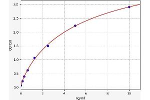 Typical standard curve (ADAM12 ELISA Kit)