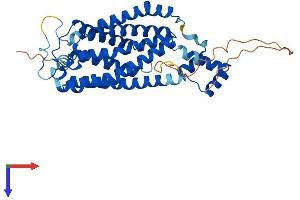 LASS5 Protein (AA 1-392) (His tag)