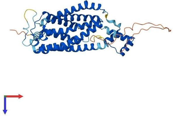 LASS5 Protein (AA 1-392) (His tag)