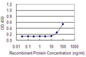 Detection limit for recombinant GST tagged ADCK1 is 10 ng/ml as a capture antibody. (ADCK1 Antikörper  (AA 1-100))