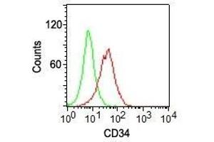 Flow cytometry of KG-1 cells using CD34 Monoclonal Antibody (ICO-115) (red) and isotype control Ab (green). (CD34 Antikörper  (PE))