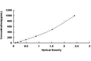 Typical standard curve