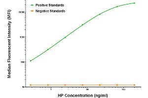 Luminex Assay (LMNX) image for anti-Haptoglobin (HP) antibody (ABIN2722429) (Haptoglobin Antikörper)