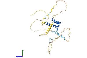 Protein Structure (PS) image for Homeobox D8 (HOXD8) (AA 1-289) protein (His tag) (ABIN7562978)