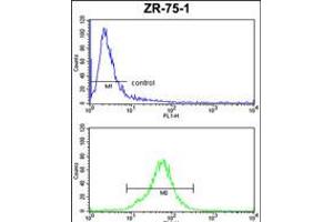 Flow cytometric analysis of ZR-75-1 cells (bottom histogram) compared to a negative control cell (top histogram).