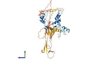 AlphaFold protein structure predicition of Human Recombinant ZNF76 Protein, UniprotID P36508