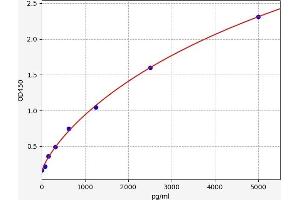 ABCC6 ELISA Kit