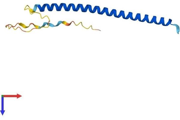 C4orf46 Protein (AA 1-113) (His tag)