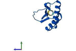 Protein Structure (PS) image for Dynein, Axonemal, Light Chain 4 (DNAL4) (AA 1-105) protein (His tag) (ABIN7561341)