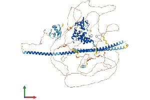 Protein Structure (PS) image for Tumor Protein P53 Binding Protein 2 (TP53BP2) (AA 1-1128) protein (His tag) (ABIN7552433)