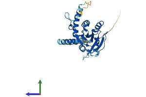 AlphaFold protein structure predicition of Human Recombinant SRPRB Protein, UniprotID Q9Y5M8