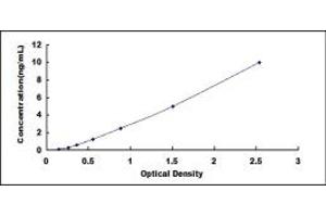 Typical standard curve (LSR ELISA Kit)