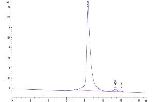 Size-exclusion chromatography-High Pressure Liquid Chromatography (SEC-HPLC) image for Sialic Acid Binding Ig-Like Lectin 15 (SIGLEC15) (AA 60-322) protein (His-Avi Tag,Biotin) (ABIN7275585)