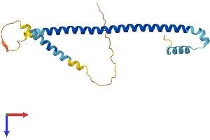 ATF3 Protein (AA 1-181) (His tag)