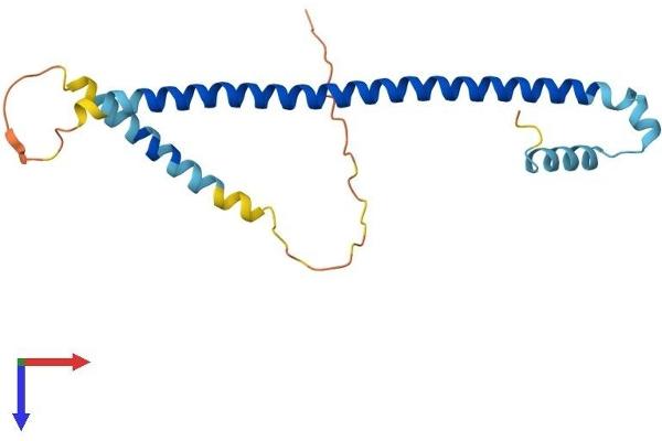ATF3 Protein (AA 1-181) (His tag)
