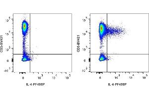 Detection of IL-4 by flow cytometry in viable human lymphocytes. (IL-4 Antikörper  (PromoFluor-488 Premium))