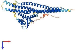 Sorting Nexin 7 Protein (SNX7) (AA 1-387) (His tag)