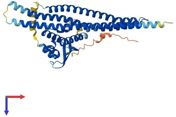 Sorting Nexin 7 Protein (SNX7) (AA 1-387) (His tag)