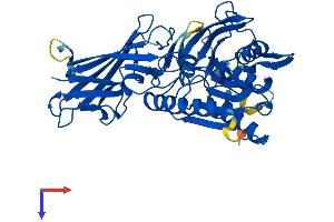 BAAT Protein (AA 1-420) (His tag)