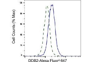 Validation of DDB2 knockdown using flow cytometry. (Rekombinanter DDB2 Antikörper)