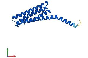Protein Structure (PS) image for Leukotriene C4 Synthase (LTC4S) (AA 1-150) protein (His tag) (ABIN7549097)