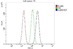 Flow Cytometry analysis of A549 cells using anti-ALDH2 antibody (ABIN7603107).