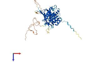 NADK Protein (AA 1-446) (His tag)