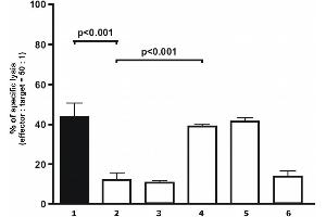 Analysis of cytolytical activity Analysis of cytolytical activity of human polyclonal NK cells on target melanoma cells. (HLAG Antikörper)