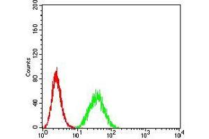 Flow cytometric analysis of Hela cells using DDX1 mouse mAb (green) and negative control (red). (DDX1 Antikörper  (AA 642-740))