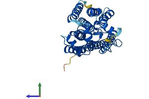AlphaFold protein structure predicition of Mouse Recombinant Paqr5 Protein, UniprotID Q9DCU0