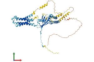 Protein Structure (PS) image for Vang-Like 2 (VANGL2) (AA 1-521) protein (His tag) (ABIN7555958)