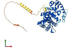 Protein Structure (PS) image for Potassium Voltage-Gated Channel, Shaker-Related Subfamily, beta Member 1 (KCNAB1) (AA 1-401) protein (His tag) (ABIN7563504)