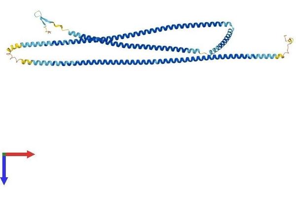 CCDC11 Protein (AA 1-514) (His tag)