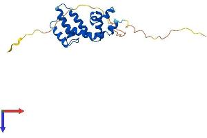RGS4 Protein (AA 1-205) (His tag)