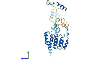 Protein Structure (PS) image for Tropomodulin 2 (TMOD2) (AA 1-351) protein (His tag) (ABIN7561638)