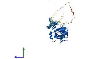 Protein Structure (PS) image for Tubulin Folding Cofactor C (TBCC) (AA 1-341) protein (His tag) (ABIN7559825)