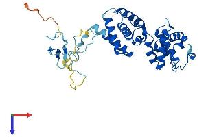 GTF2B Protein (AA 1-316) (His tag)